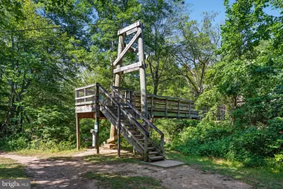 185 Buck Run Lane, Fort Valley, VA 22652 - Photo 44