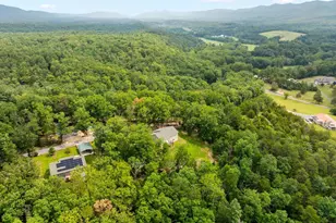 185 Buck Run Ln, Fort Valley, VA 22652 - Photo 36