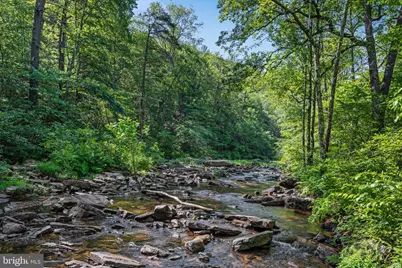 185 Buck Run Lane, Fort Valley, VA 22652 - Photo 50