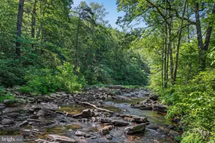 185 Buck Run Ln, Fort Valley, VA 22652 - Photo 50