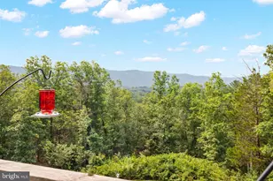 185 Buck Run Ln, Fort Valley, VA 22652 - Photo 20