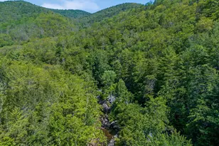 185 Buck Run Ln, Fort Valley, VA 22652 - Photo 54