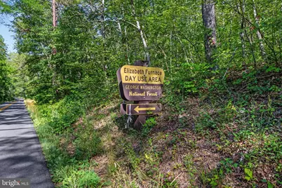 185 Buck Run Lane, Fort Valley, VA 22652 - Photo 42