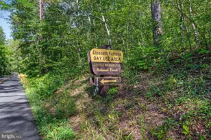 185 Buck Run Ln, Fort Valley, VA 22652 - Photo 42