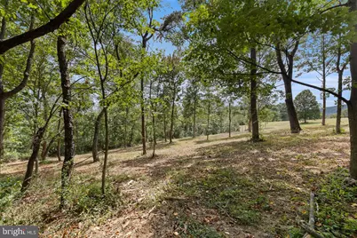 Ridge Hollow Road, Edinburg, VA 22824 - Photo 22