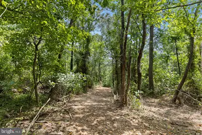 Ridge Hollow Road, Edinburg, VA 22824 - Photo 20