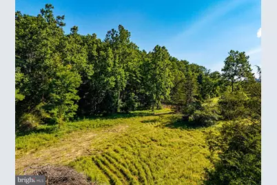 Alum Springs Rd. Parcel A, Edinburg, VA 22824 - Photo 6