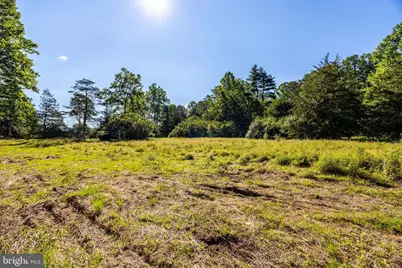 Alum Springs Rd. Parcel A, Edinburg, VA 22824 - Photo 4