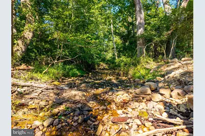 Alum Springs Rd. Parcel A, Edinburg, VA 22824 - Photo 8
