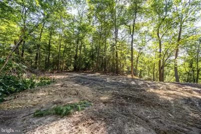 Alum Springs Rd. Parcel A, Edinburg, VA 22824 - Photo 10