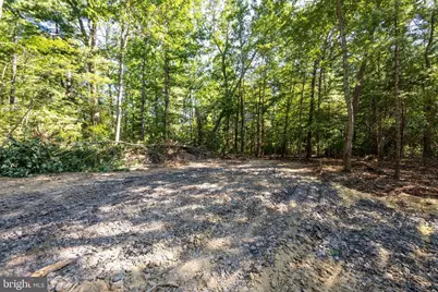 Alum Springs Rd. Parcel B, Edinburg, VA 22824 - Photo 10