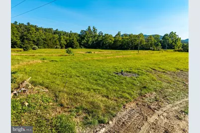 Alum Spring Rd. Parcel C, Edinburg, VA 22824 - Photo 8