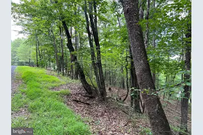 0 Fawn Drive, Basye, VA 22810 - Photo 2