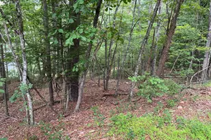 0 Fawn Dr, Basye, VA 22810 - Photo 1