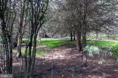 0 Alum Springs Road, Basye, VA 22810 - Photo 20