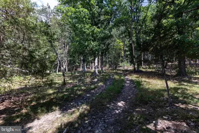 0 Alum Springs Road, Basye, VA 22810 - Photo 18