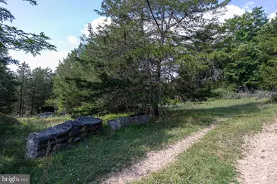 0 Alum Springs Road, Basye, VA 22810 - Photo 14
