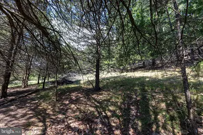 0 Alum Springs Road, Basye, VA 22810 - Photo 16