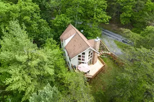 218 Nelson Way, Basye, VA 22810 - Photo 36