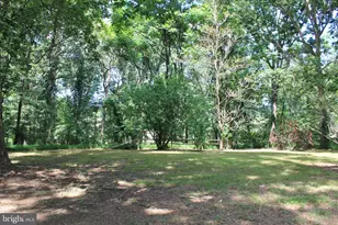 365 Hillcrest Rd, Edinburg, VA 22824 - Photo 26