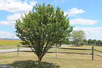 365 Hillcrest Road, Edinburg, VA 22824 - Photo 38