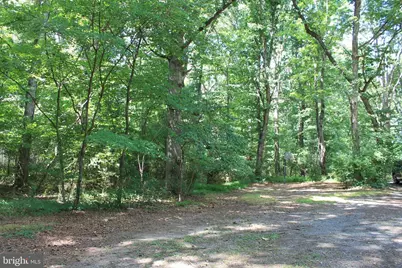 365 Hillcrest Road, Edinburg, VA 22824 - Photo 6