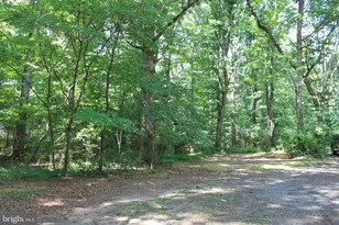365 Hillcrest Rd, Edinburg, VA 22824 - Photo 6