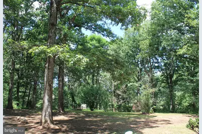 365 Hillcrest Road, Edinburg, VA 22824 - Photo 24