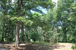 365 Hillcrest Rd, Edinburg, VA 22824 - Photo 24