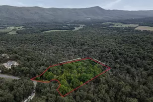 0 Mount Sinai Pt, Fort Valley, VA 22652 - Photo 1