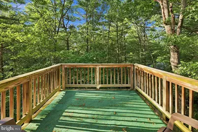 7823 Supinlick Ridge Road, Mount Jackson, VA 22842 - Photo 36