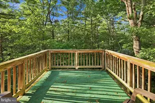 7823 Supinlick Ridge Rd, Mount Jackson, VA 22842 - Photo 36