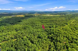 7823 Supinlick Ridge Rd, Mount Jackson, VA 22842 - Photo 46