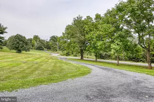 2323 Battlefield Rd, Fishers Hill, VA 22626 - Photo 4