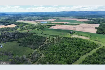 4080 Flat Rock Rd, Quicksburg, VA 22847 - Photo 8