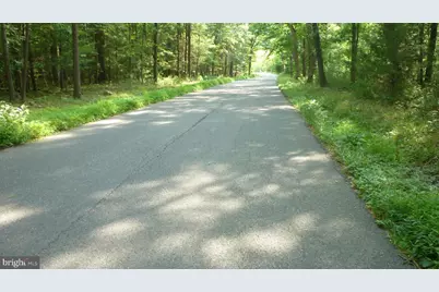 Alum Springs Rd., Edinburg, VA 22824 - Photo 4