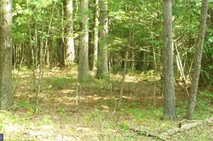 Alum Springs Rd, Edinburg, VA 22824 - Photo 1