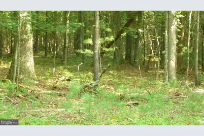 Alum Springs Rd., Edinburg, VA 22824 - Photo 2