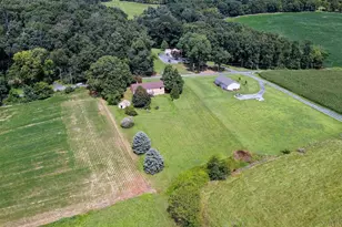 4810 Flat Rock Rd, Quicksburg, VA 22847 - Photo 70