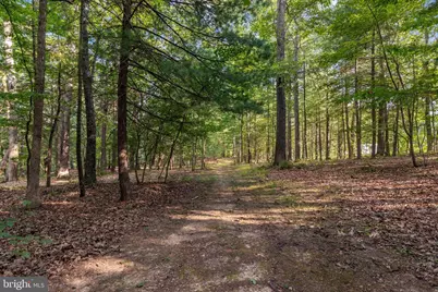2612 Coal Mine Road, Strasburg, VA 22657 - Photo 66