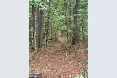 574 Mountain Slope Ln., Fort Valley, VA 22652 - Photo 6