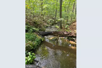 574 Mountain Slope Ln., Fort Valley, VA 22652 - Photo 1