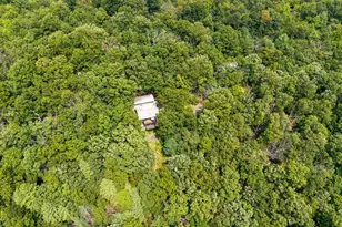 44 Wilkins Ln, Maurertown, VA 22644 - Photo 96
