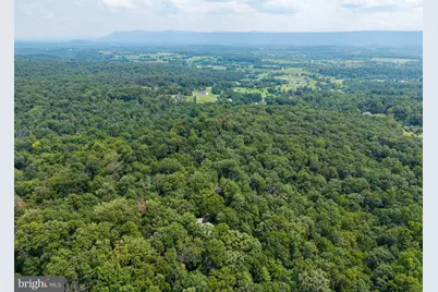 44 Wilkins Lane, Maurertown, VA 22644 - Photo 102