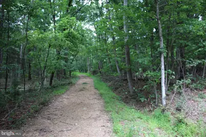 Habron Hollow Road, Fort Valley, VA 22652 - Photo 16