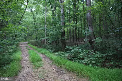 Habron Hollow Road, Fort Valley, VA 22652 - Photo 6