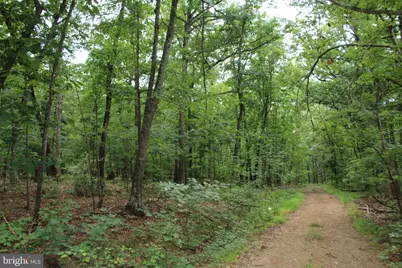 Habron Hollow Road, Fort Valley, VA 22652 - Photo 14