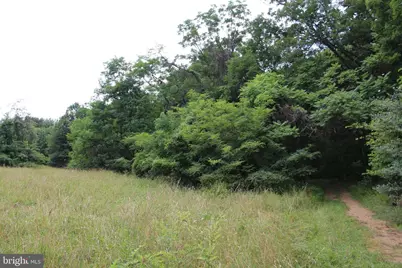 Habron Hollow Road, Fort Valley, VA 22652 - Photo 2