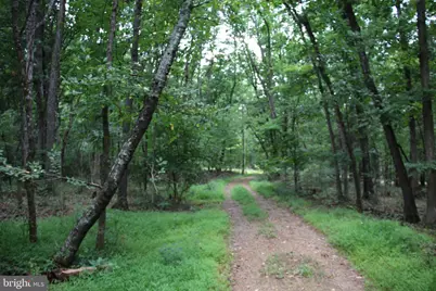 Habron Hollow Road, Fort Valley, VA 22652 - Photo 18