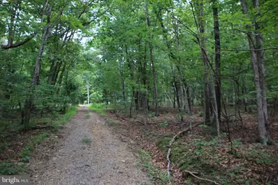 Habron Hollow Road, Fort Valley, VA 22652 - Photo 4
